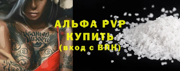 крисы Абаза