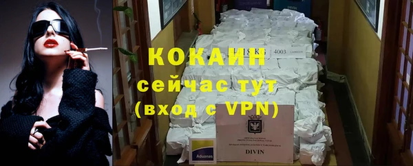 крисы Абаза