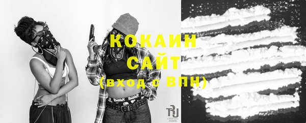 крисы Абаза