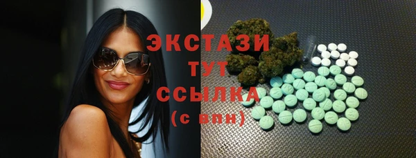 крисы Абаза