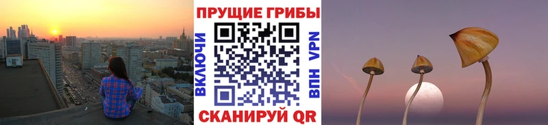 Галлюциногенные грибы Cubensis  Ессентукская 